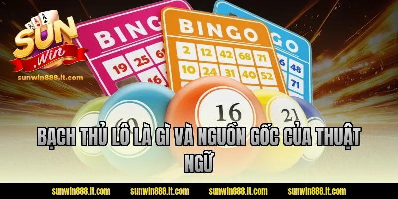 Bạch thủ lô là gì và nguồn gốc của thuật ngữ