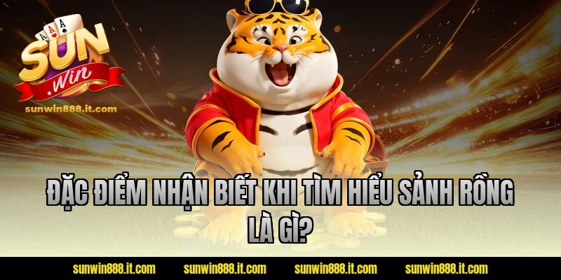 Đặc điểm nhận biết khi tìm hiểu sảnh rồng là gì?